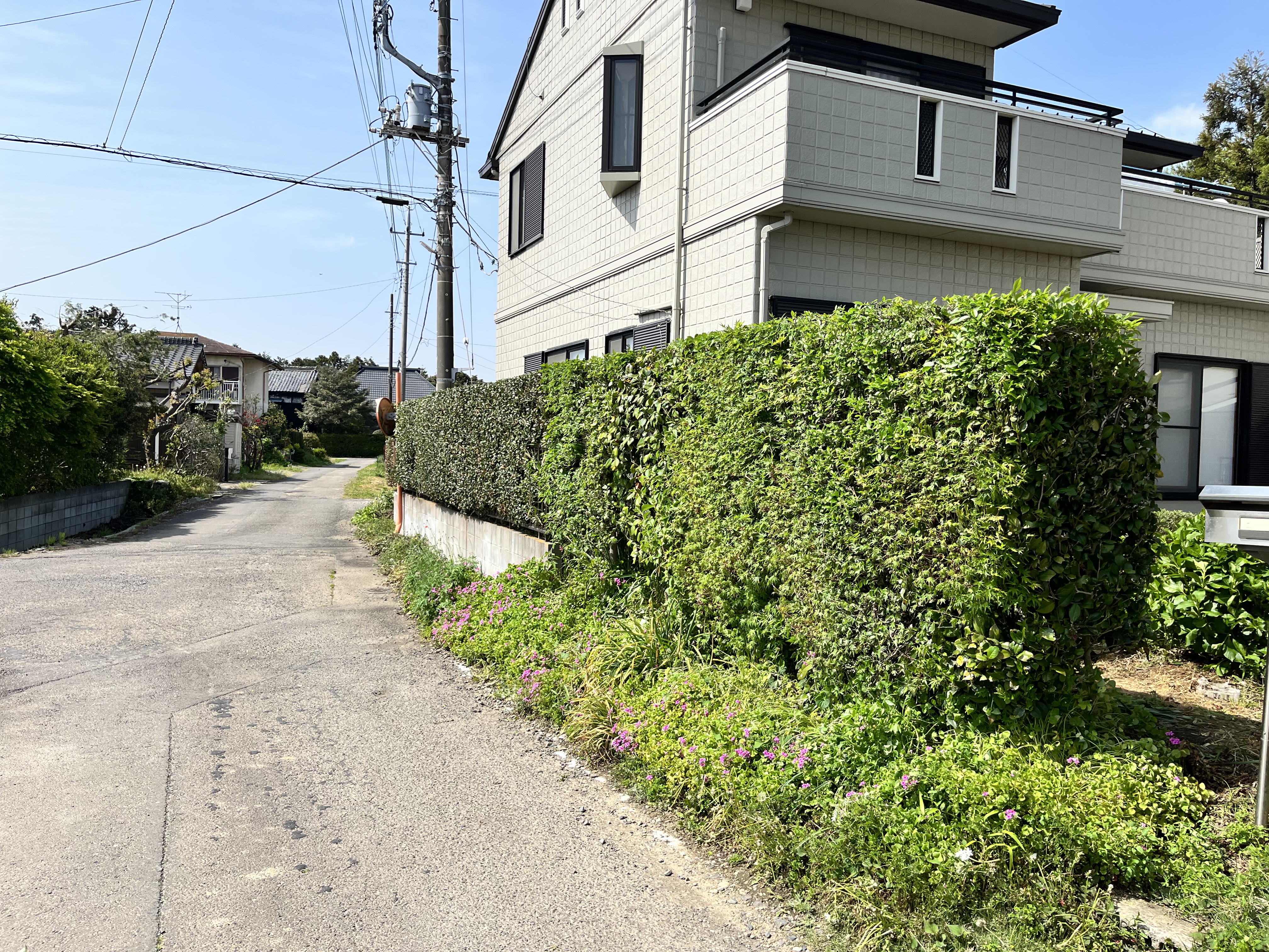 垣根の剪定 秀庭園は お客様のご希望をしっかりお聴きする 茨城県取手市の庭師 植木屋 です